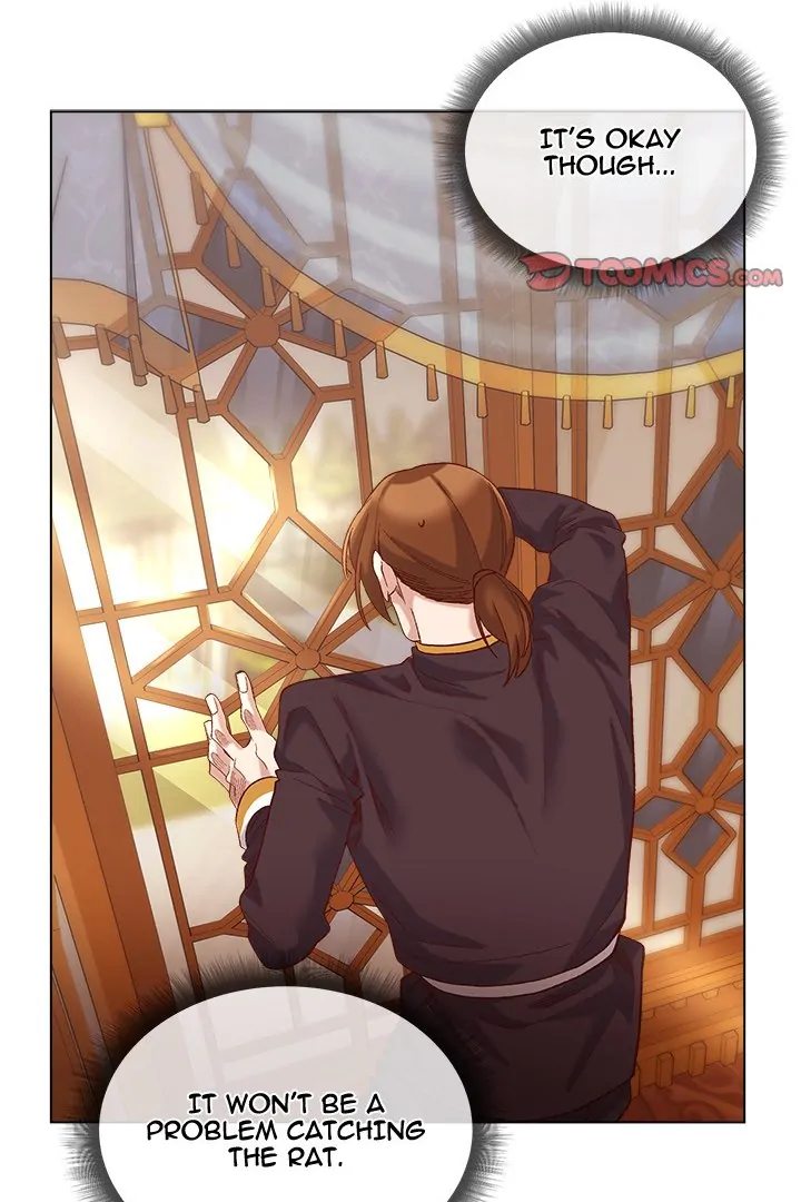I Will Protect the Lady - Chapter 10 [photo 54] - MangaPorn