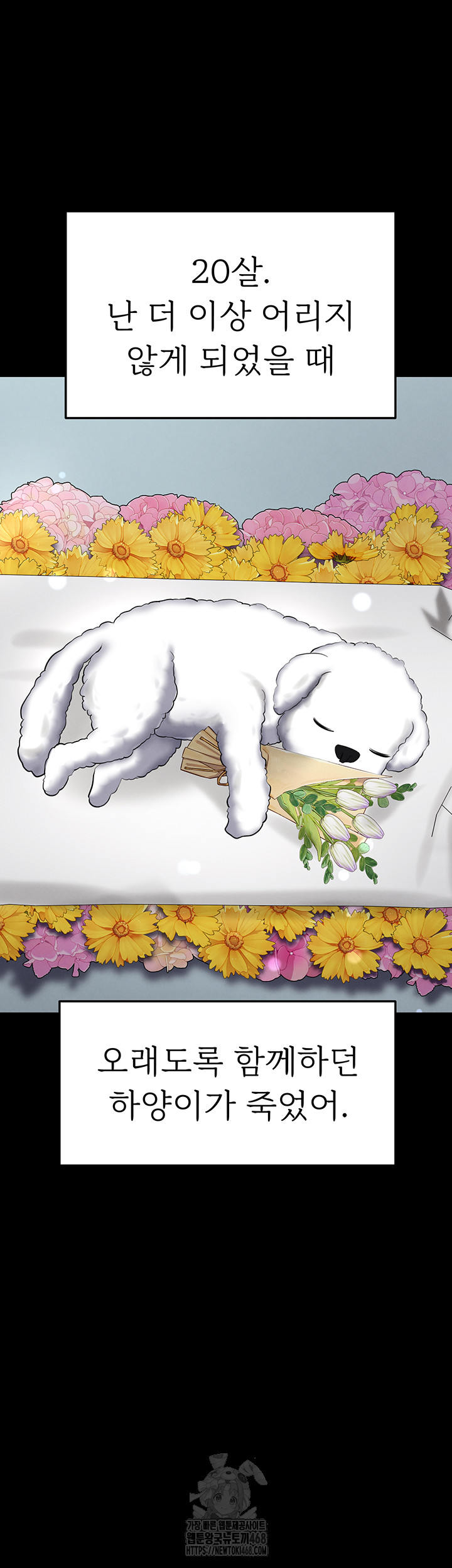 The Hottie’s Good at Football Raw - Chapter 31 [photo 51] - MangaPorn