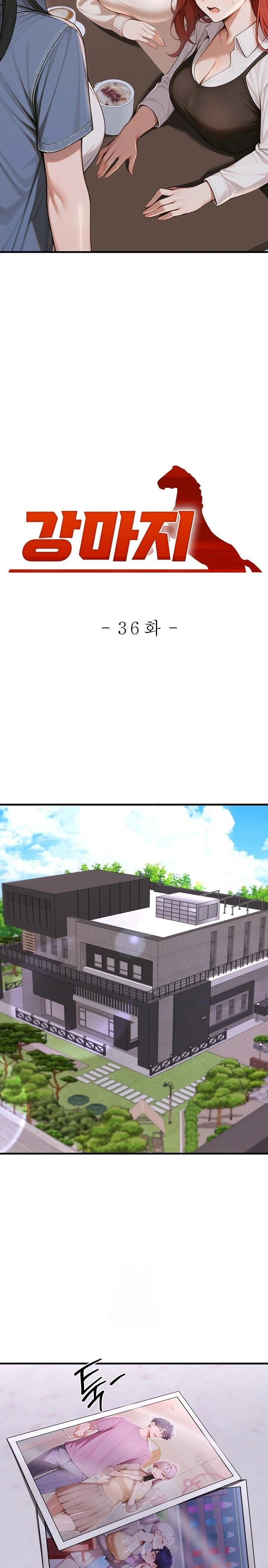 Gangmaji Raw - Chapter 36 [photo 6] - MangaPorn