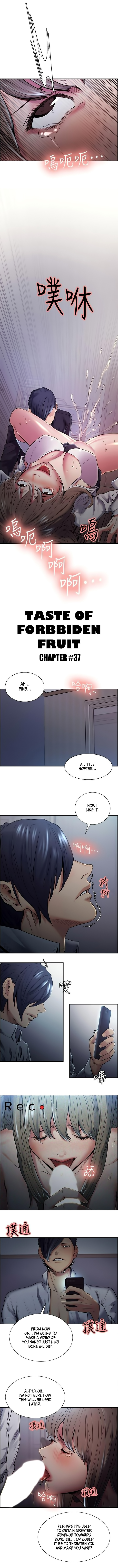 Taste of Forbbiden Fruit - Chapter 37 [photo 1] - MangaPorn