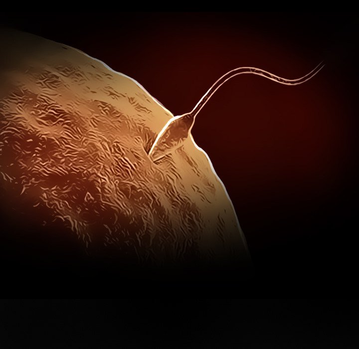 Unfaithful - Chapter 23 [photo 7] - MangaPorn