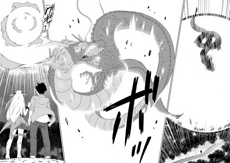 Saikyou no Shuzoku ga Ningen Datta Ken - Chapter 5 [photo 13] - MangaPorn