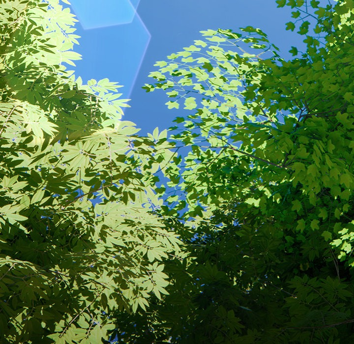 Thrust & Conquer - Chapter 1 [photo 79] - MangaPorn