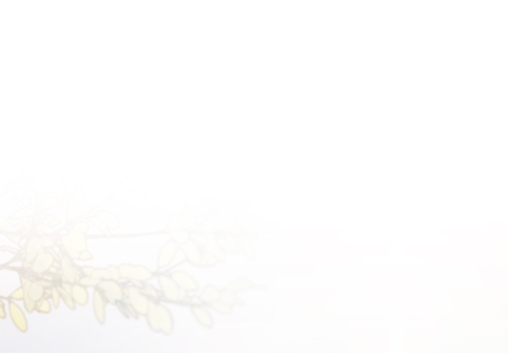 Someone Stop Her! (Uncensored) - Chapter 22 [photo 1] - MangaPorn