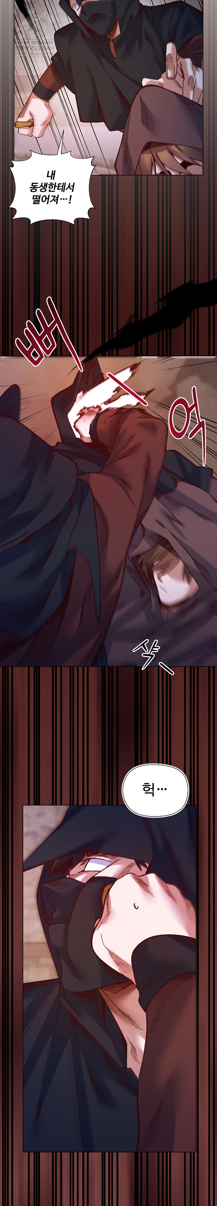 I Will Protect the Lady Raw - Chapter 36 [photo 15] - MangaPorn