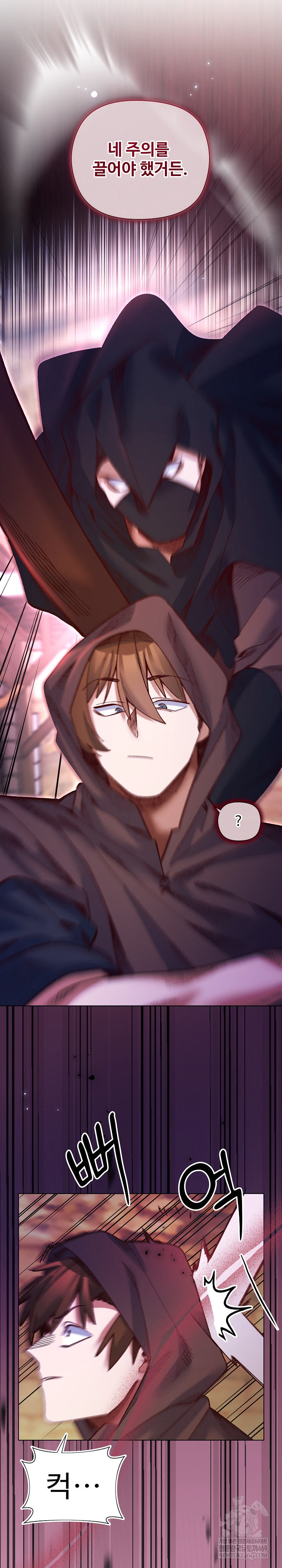 I Will Protect the Lady Raw - Chapter 36 [photo 27] - MangaPorn