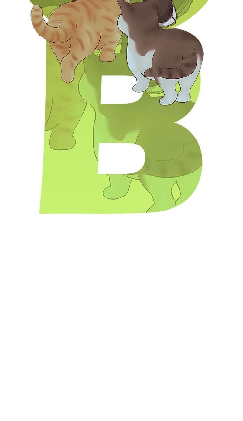 God of Blackfield - Chapter 256 [photo 11] - MangaPorn