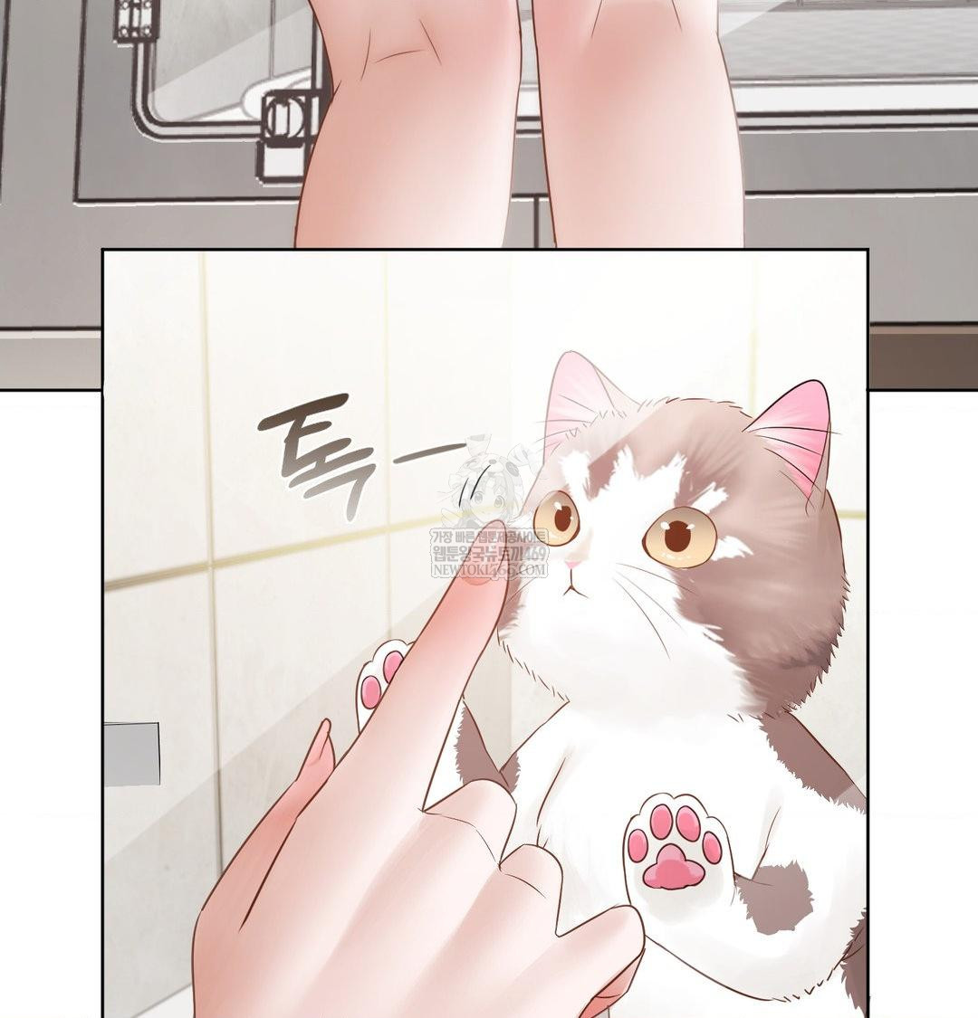 She Recommends a Harem Raw - Chapter 33 [photo 41] - MangaPorn