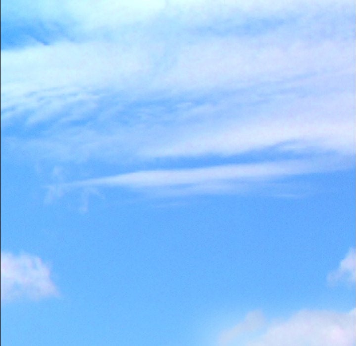 Milf Guard - Chapter 65 [photo 127] - MangaPorn