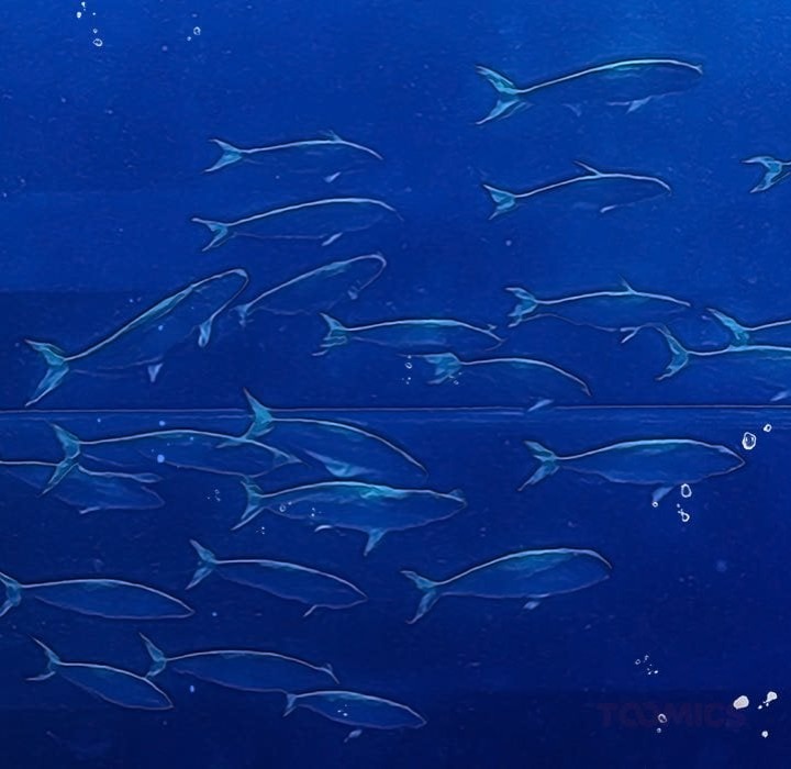 My High School Bully - Chapter 271 [photo 140] - MangaPorn