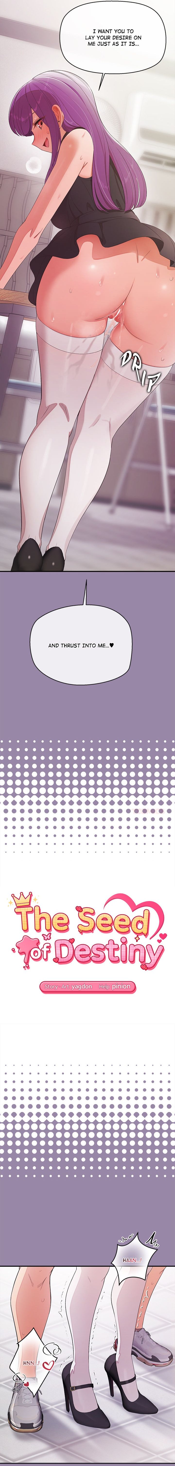 The Seed of Destiny - Chapter 23 [photo 2] - MangaPorn