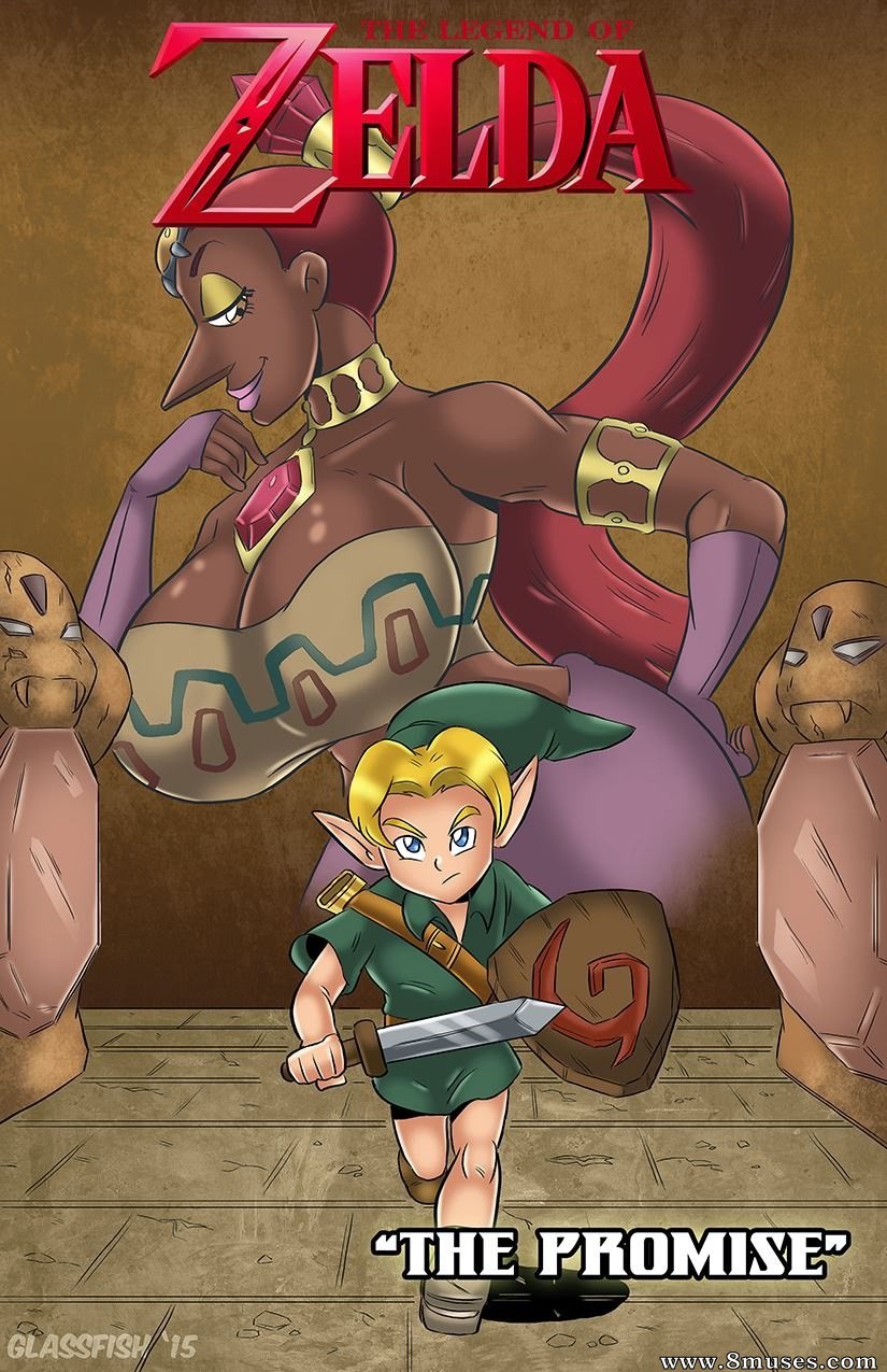 The Legend of Zelda The Promise [photo 1] - MangaPorn