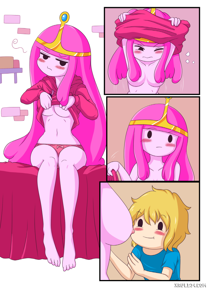 ADVENTURE TIME- ADULT TIME MINI [photo 12] - MangaPorn