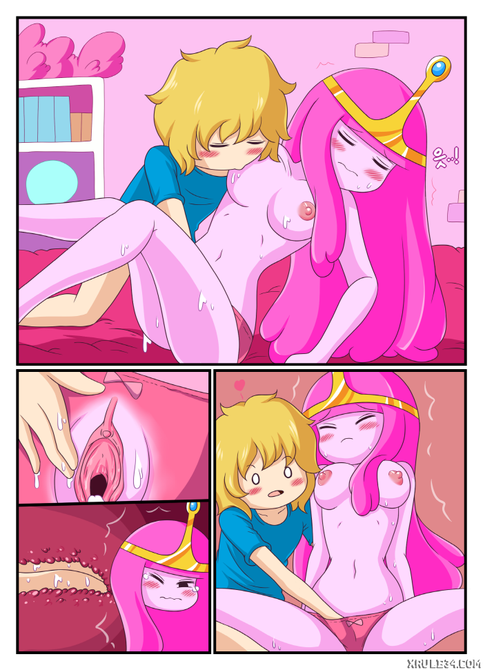 ADVENTURE TIME- ADULT TIME MINI [photo 15] - MangaPorn