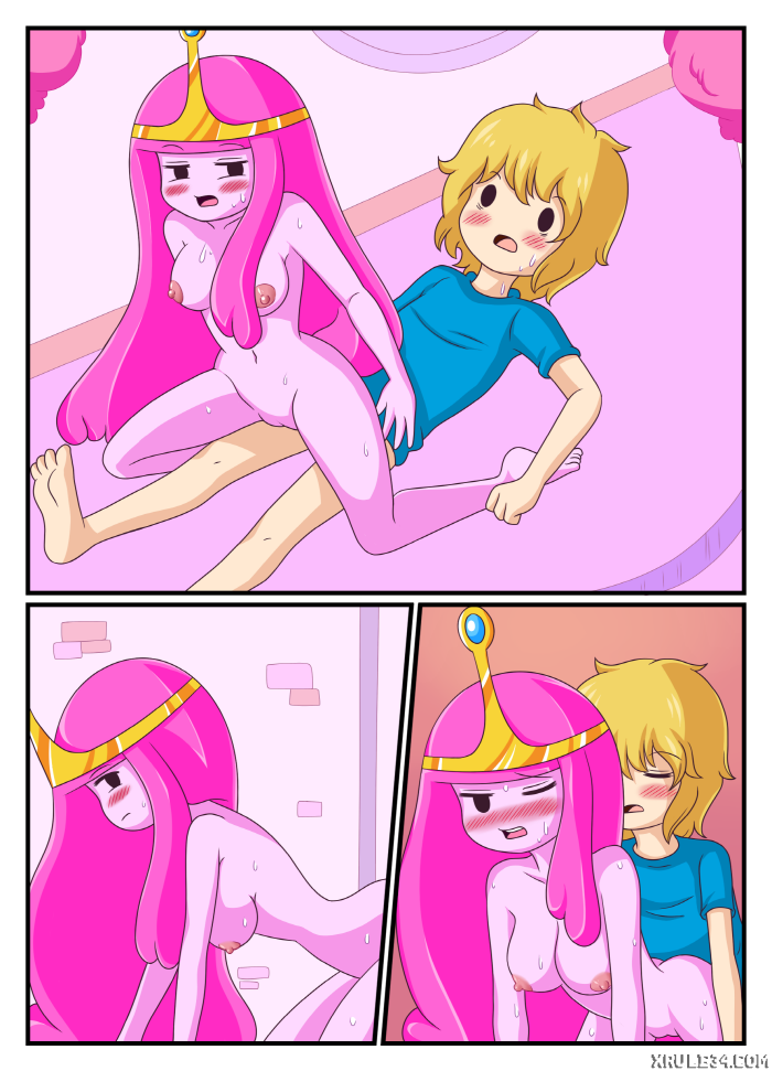 ADVENTURE TIME- ADULT TIME MINI [photo 26] - MangaPorn