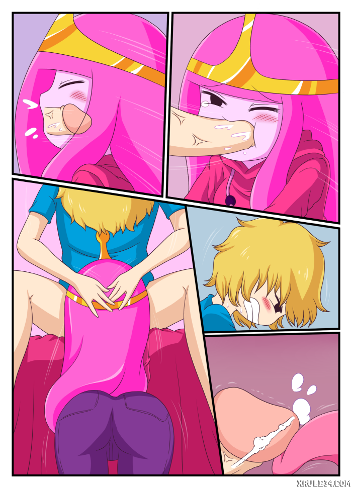 ADVENTURE TIME- ADULT TIME MINI [photo 8] - MangaPorn