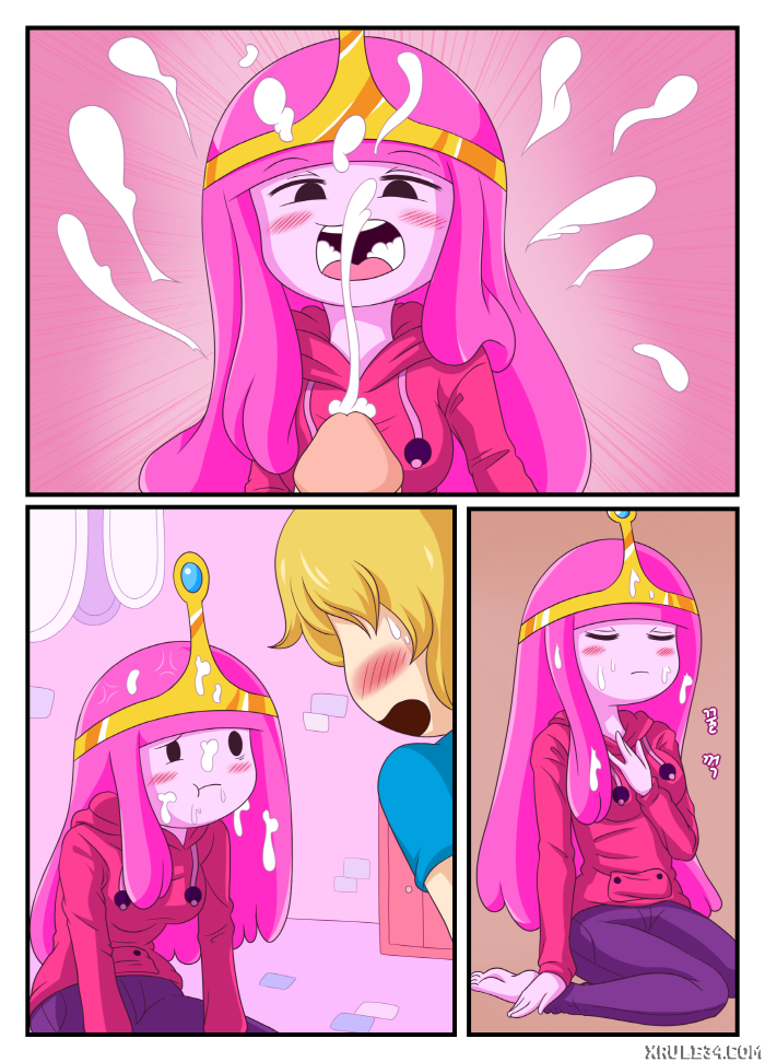 ADVENTURE TIME- ADULT TIME MINI [photo 9] - MangaPorn