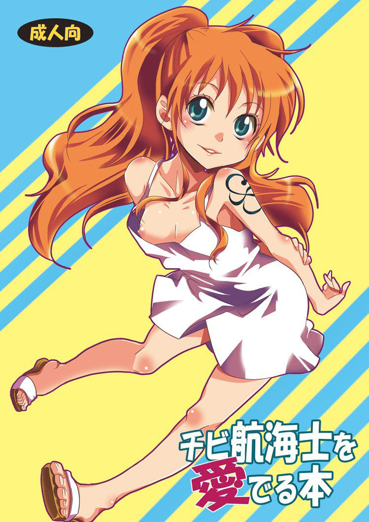 Chibi Koukaishi o Mederu Hon – Tiny Navigator Appreciation Book [photo 1] - MangaPorn