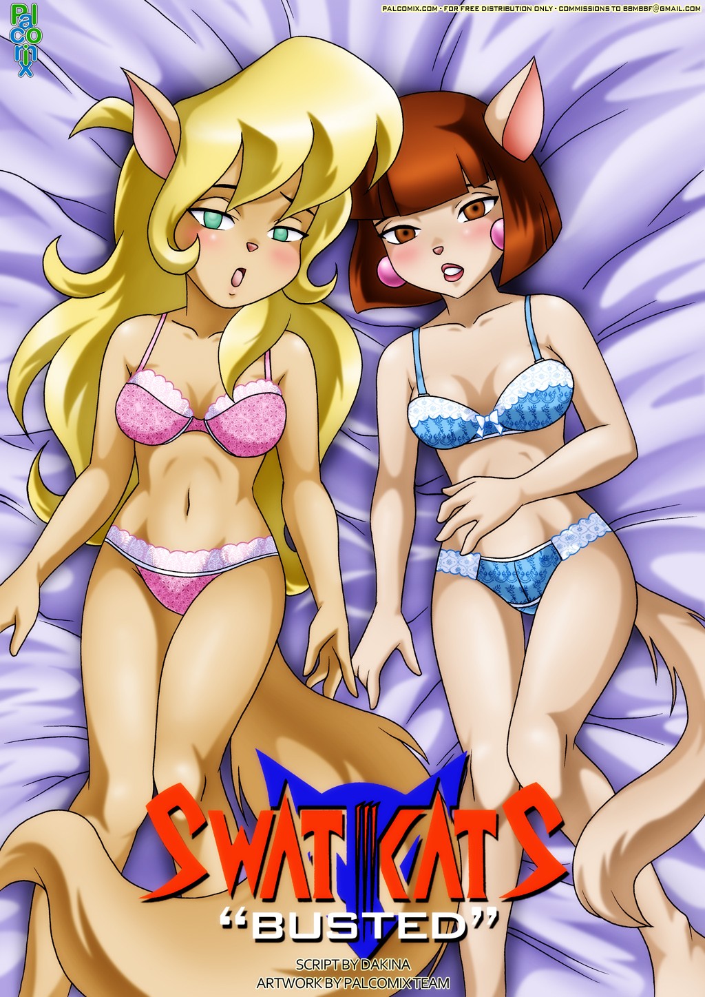 Swat Kats [photo 1] - MangaPorn