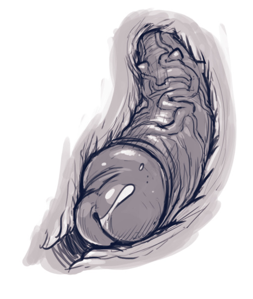 Harley Quinn Superslut – DevilHS [photo 55] - MangaPorn