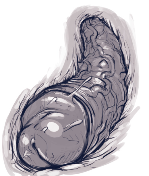 Harley Quinn Superslut – DevilHS [photo 57] - MangaPorn