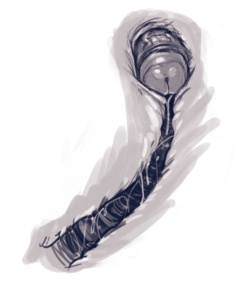 Harley Quinn Superslut – DevilHS [photo 99] - MangaPorn