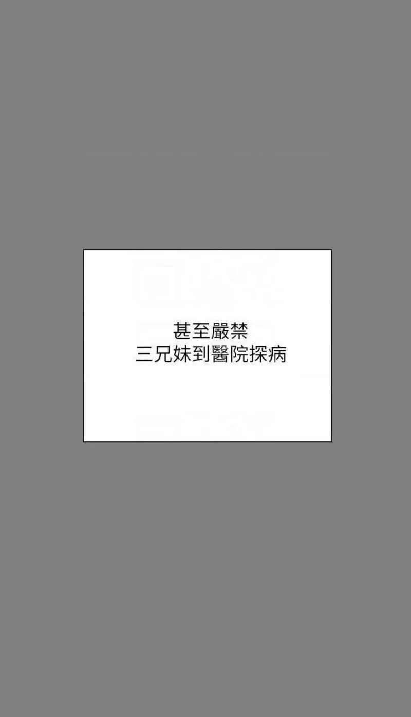 Queen Bee Raw - Chapter 241 [photo 16] - MangaPorn