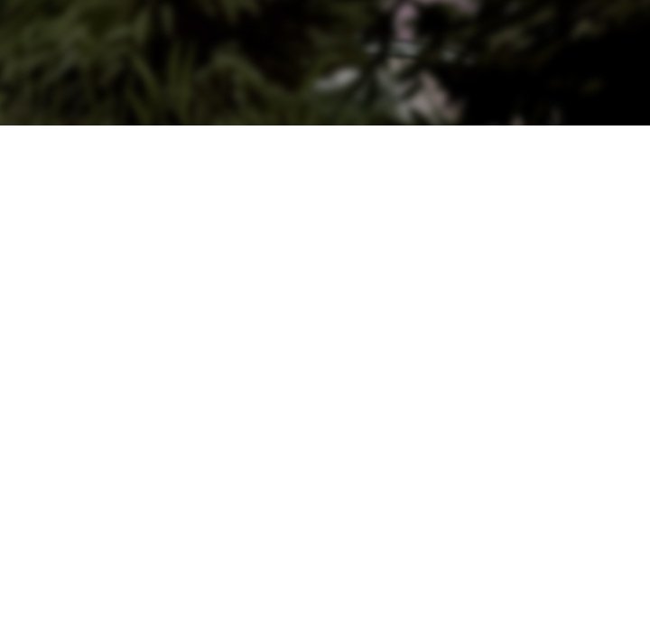 Magnetic Pull - Chapter 12 [photo 35] - MangaPorn