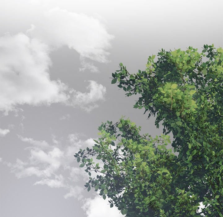 Safe Haven - Chapter 42 [photo 91] - MangaPorn