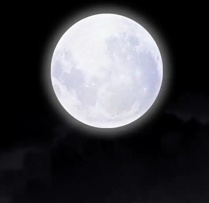 The Leash - Chapter 36 [photo 179] - MangaPorn