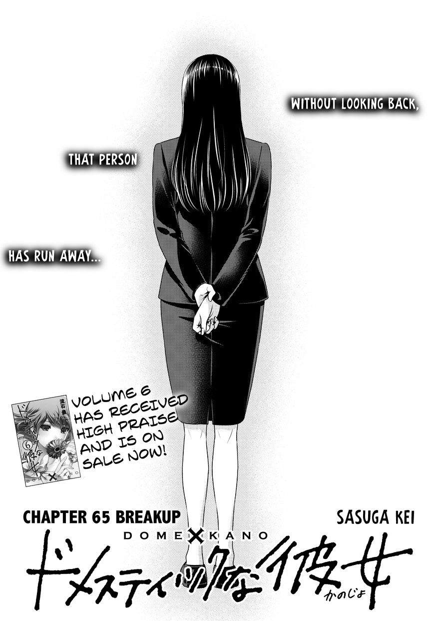 Domestic na Kanojo - Chapter 65 [photo 2] - MangaPorn