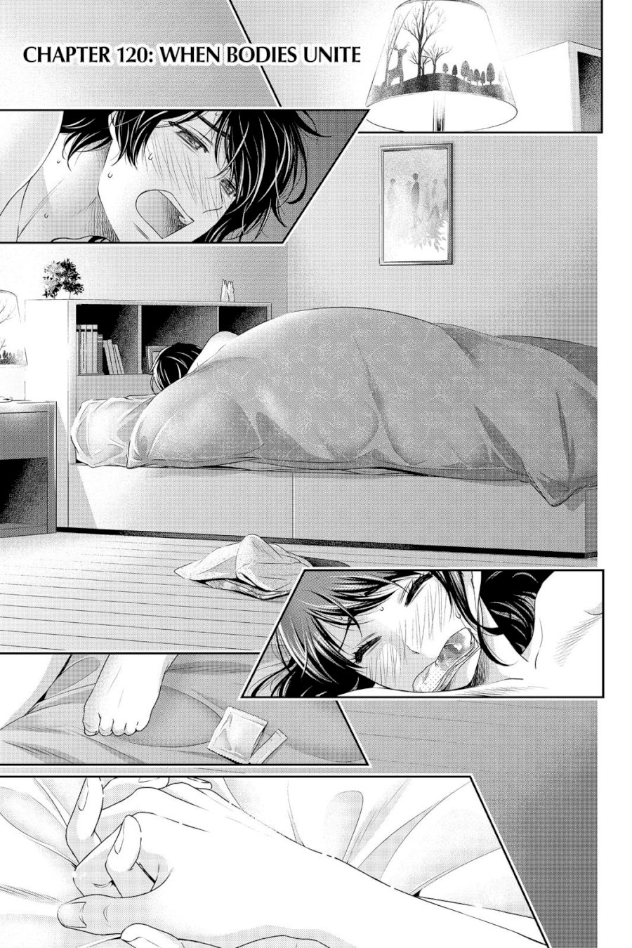 Domestic na Kanojo - Chapter 120 [photo 1] - MangaPorn