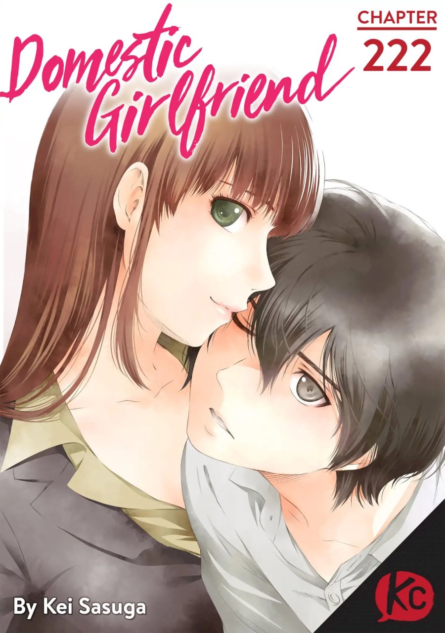 Domestic na Kanojo - Chapter 222 [photo 1] - MangaPorn