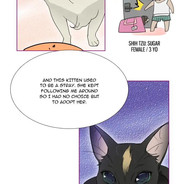 Sugar 'N Spice - Chapter 1 [photo 17] - MangaPorn