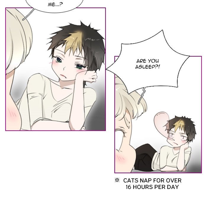 Sugar 'N Spice - Chapter 11 [photo 22] - MangaPorn