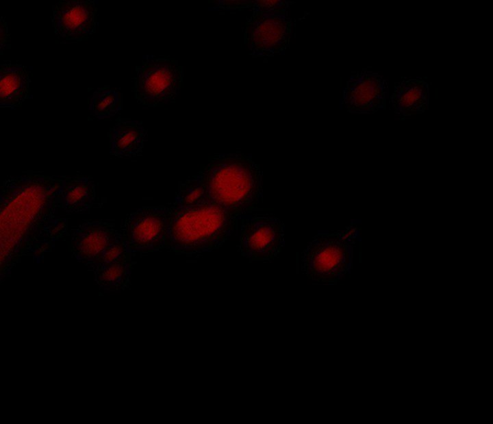 The Voice of God - Chapter 32 [photo 119] - MangaPorn