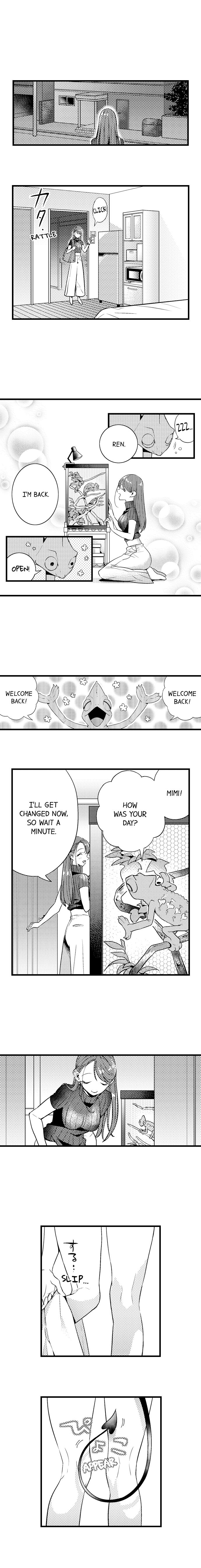 The Timid Succubus and Her Handsome Meal - Chapter 1 [photo 8] - MangaPorn