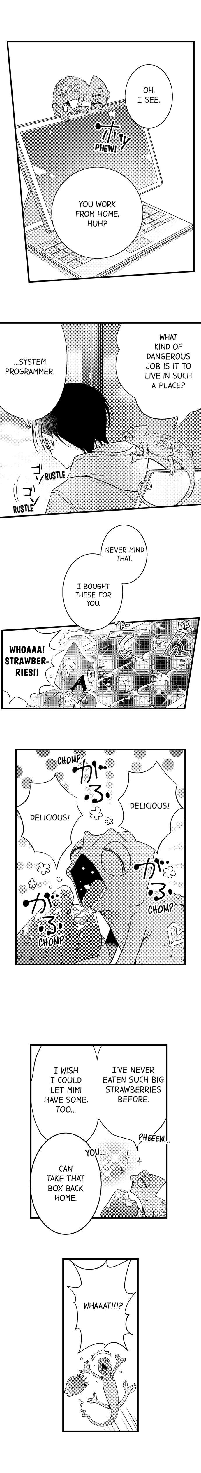 The Timid Succubus and Her Handsome Meal - Chapter 10 [photo 3] - MangaPorn