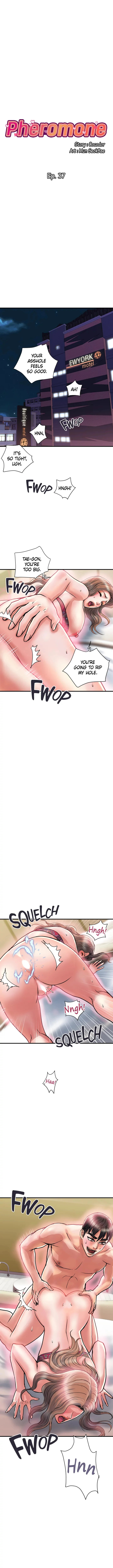 Pheromone - Chapter 37 [photo 1] - MangaPorn