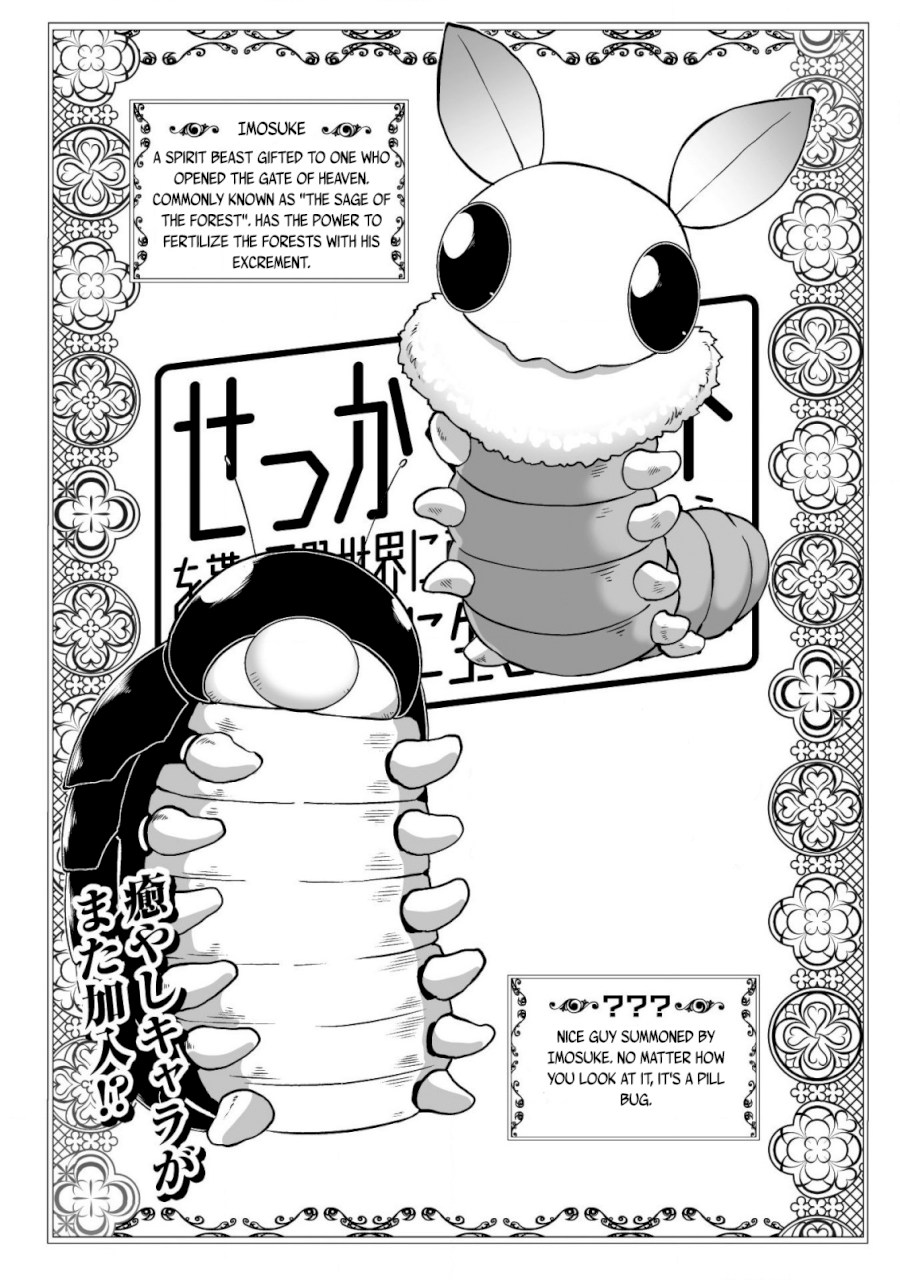 Sekkaku Cheat wo Moratte Isekai ni Teni shita n dakara, Suki na you ni Ikitemitai - Chapter 14 [photo 6] - MangaPorn