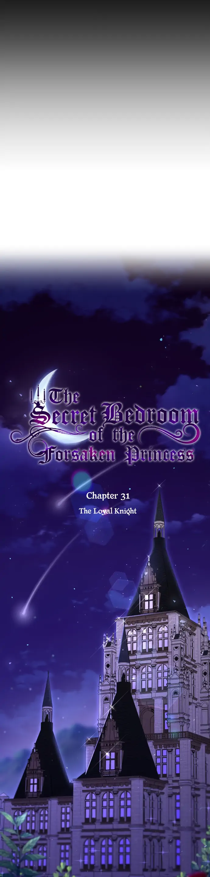 The Secret Bedroom of the Forsaken Princess - Chapter 31 [photo 9] - MangaPorn