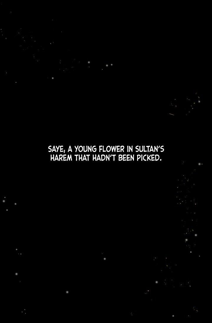 Sultan’s Love - Chapter 0 [photo 6] - MangaPorn