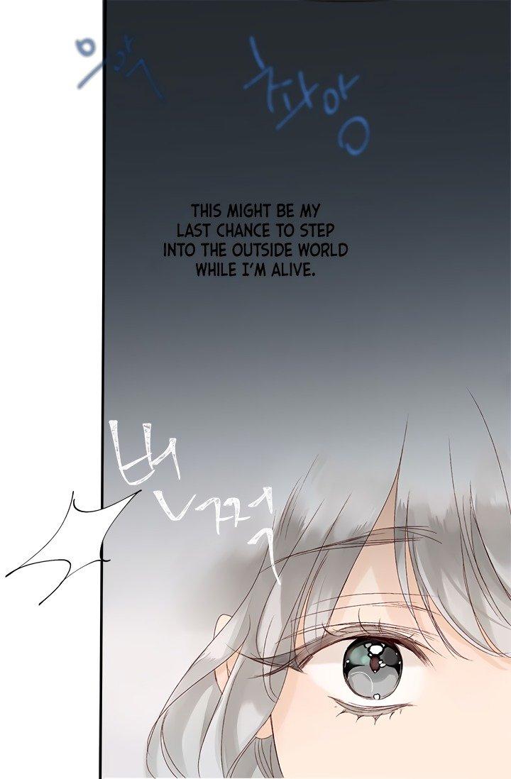 Sultan’s Love - Chapter 1 [photo 51] - MangaPorn