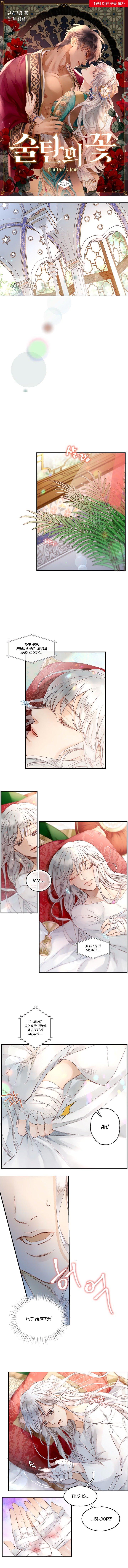 Sultan’s Love - Chapter 2 [photo 2] - MangaPorn