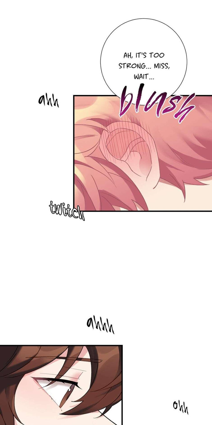 Lady & Maid - Chapter 24 [photo 42] - MangaPorn