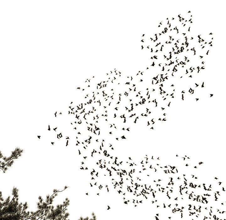 Only You - Chapter 40 [photo 156] - MangaPorn