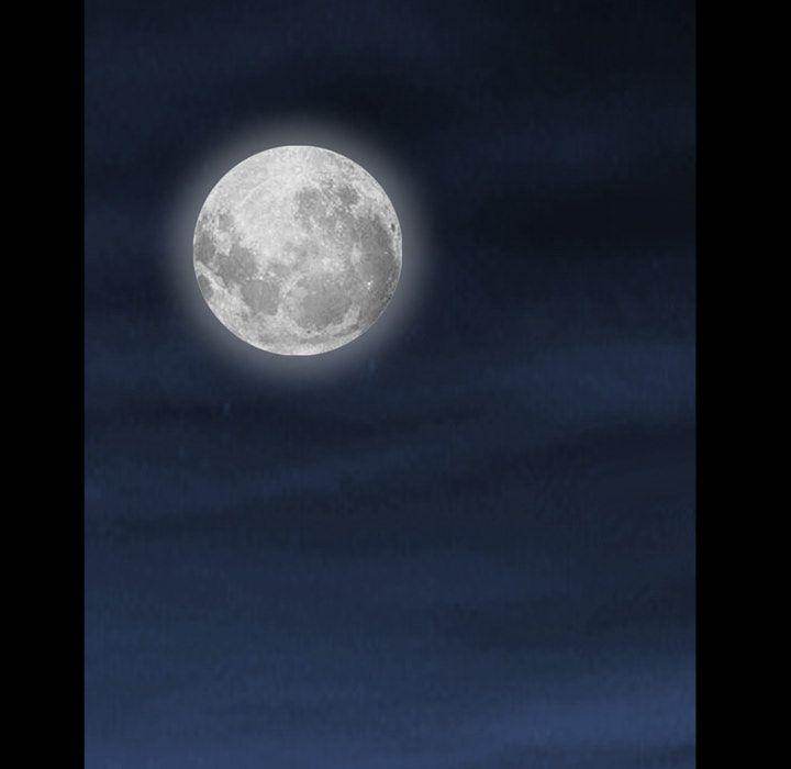 Barefoot : The Leash Season 2 - Chapter 4 [photo 154] - MangaPorn