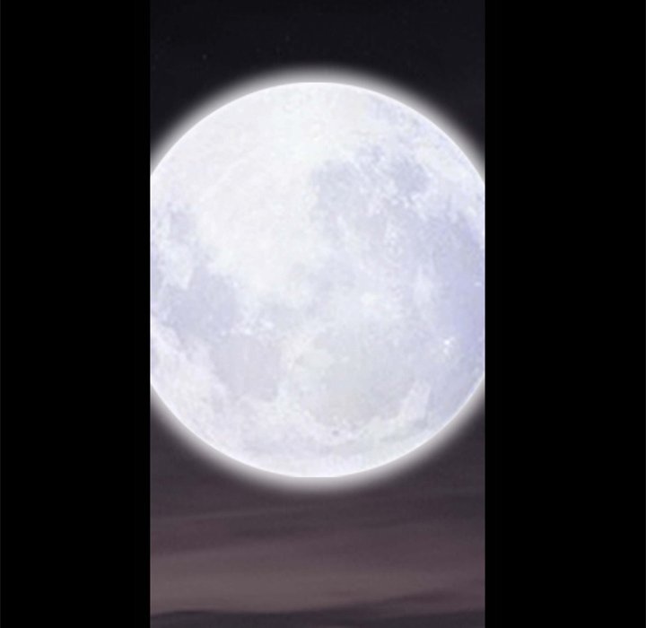 Barefoot : The Leash Season 2 - Chapter 50 [photo 78] - MangaPorn