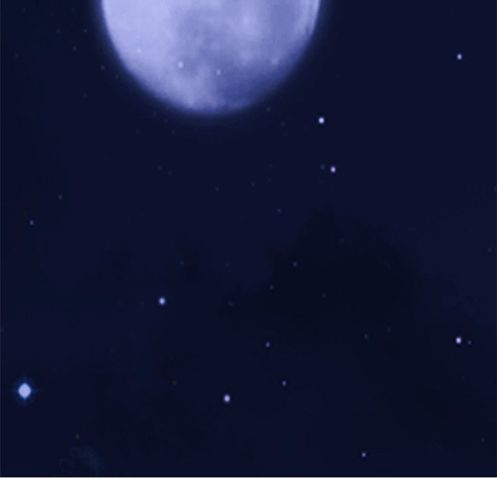 Extra Credit - Chapter 149 [photo 13] - MangaPorn