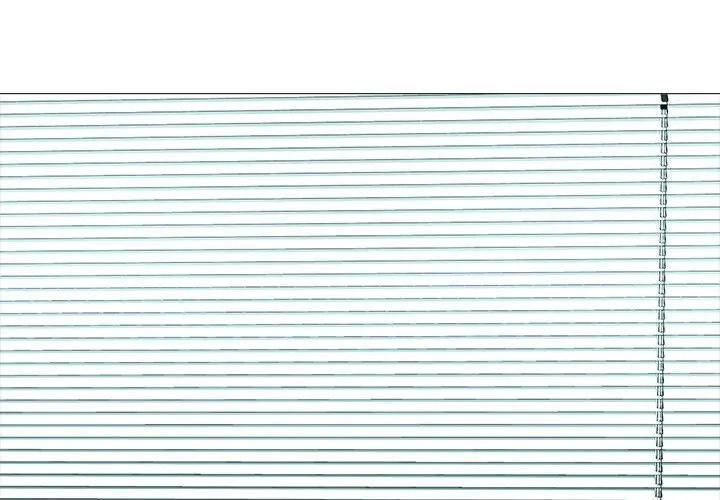 Extra Credit - Chapter 161 [photo 1] - MangaPorn